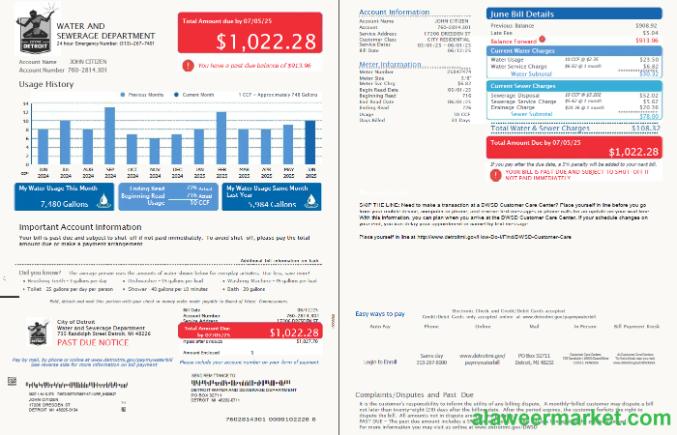 USA Detroit Water and Sewerage Department utility bill template in Word and PDF formats, 2 pages, version 4